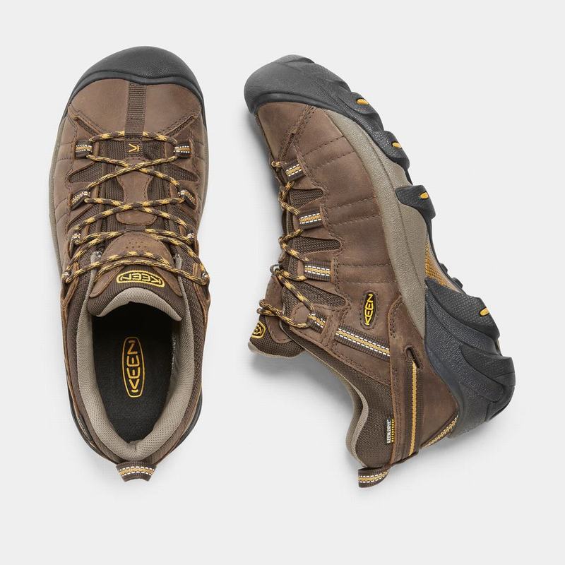 Keen 靴 | キーン ターギー 2 防水 登山 靴 メンズ ブラウン | 312560-UID